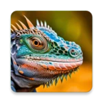 iguana wallpaper android application logo